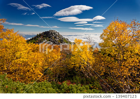 Autumn foliage of Japanese white birch trees on Mt. Yakushidake, part of the Southern Alps' Houou Sanzan mountain range, and Mt. Sunaharai Autumn foliage of Japanese white birch trees on Mt. Yakushidake, part of the Southern Alps' Houou Sanzan mountain range, and Mt. Sunaharai 139407123