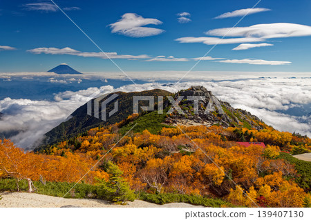 富士山和樺木樺樹在南阿爾卑斯山鳳凰山山Yakushidake 富士山和樺木樺樹在南阿爾卑斯山鳳凰山山Yakushidake 139407130