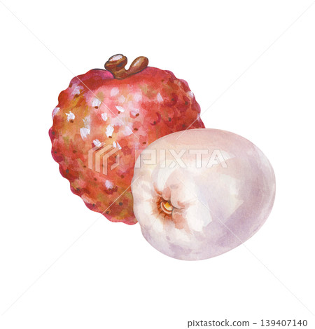 Isolated watercolor illustration of whole red lychee with stem and peeled fruit Isolated watercolor illustration of whole red lychee with stem and peeled fruit 139407140