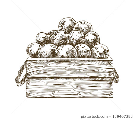 Hand drawn potato in wooden crate illustration. Sketch style vegetable harvest, outline drawing for label design, cooking ingredient, farm shop menu and organic grocery store branding. Hand drawn potato in wooden crate illustration. Sketch style vegetable harvest, outline drawing for label design, cooking ingredient, farm shop menu and organic grocery store branding. 139407393
