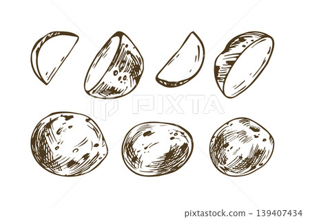 Hand drawn sketch illustration of baby potato set. Ink pen vegetable drawing in line art outline style. Organic harvest, kitchen cooking ingredient, food market menu and packaging design. Hand drawn sketch illustration of baby potato set. Ink pen vegetable drawing in line art outline style. Organic harvest, kitchen cooking ingredient, food market menu and packaging design. 139407434