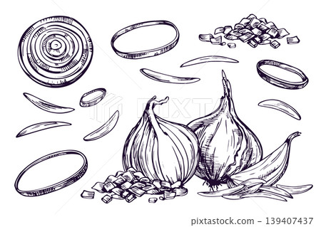 Hand drawn onion vegetable illustration in ink line art style. Set of bulb, sliced ring, and chopped piece for culinary branding, food packaging, organic grocery design, and cooking menus. Hand drawn onion vegetable illustration in ink line art style. Set of bulb, sliced ring, and chopped piece for culinary branding, food packaging, organic grocery design, and cooking menus. 139407437
