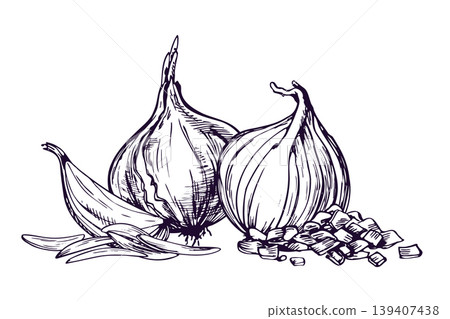 Hand drawn onion illustration rendered in ink line art style. Monochrome sketch of bulb vegetable for harvest festival, cooking, grocery store branding, food packaging and recipe book. Hand drawn onion illustration rendered in ink line art style. Monochrome sketch of bulb vegetable for harvest festival, cooking, grocery store branding, food packaging and recipe book. 139407438