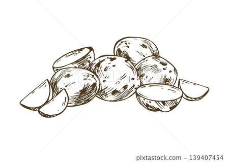 Hand drawn baby potato vegetable illustration. Sketch of raw potato tuber and sliced piece. Graphic line art design for agriculture, harvest, grocery store, market, cooking menu and culinary. Hand drawn baby potato vegetable illustration. Sketch of raw potato tuber and sliced piece. Graphic line art design for agriculture, harvest, grocery store, market, cooking menu and culinary. 139407454