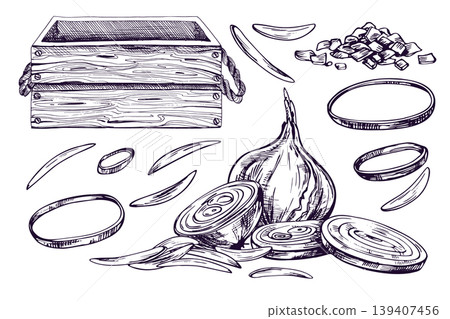 Hand drawn ink illustration of onion vegetables and wooden crate. Graphic line art sketch for cooking, harvest, organic food, grocery store, menu design, packaging, and label print. Hand drawn ink illustration of onion vegetables and wooden crate. Graphic line art sketch for cooking, harvest, organic food, grocery store, menu design, packaging, and label print. 139407456
