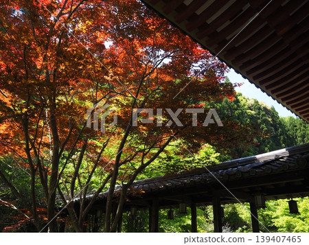 初夏的源濟寺 初夏的源濟寺 139407465