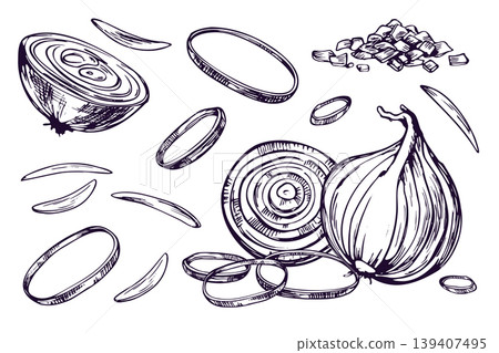 Hand drawn onion set with cut slices and chopped pieces. Sketch of vegetable for culinary recipe book, restaurant menu design and food packaging. Black and white ink line art illustration. Hand drawn onion set with cut slices and chopped pieces. Sketch of vegetable for culinary recipe book, restaurant menu design and food packaging. Black and white ink line art illustration. 139407495