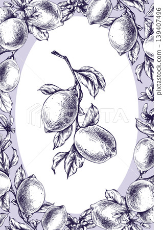 Hand drawn ink illustration of lemon branch. Botanical frame with citrus fruit and blossom flower. Sketch style line art template for culinary label, menu design and organic packaging. Hand drawn ink illustration of lemon branch. Botanical frame with citrus fruit and blossom flower. Sketch style line art template for culinary label, menu design and organic packaging. 139407496