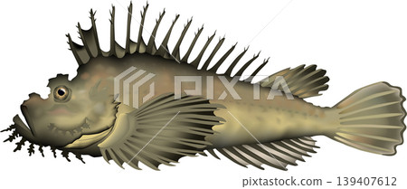 Fish illustration: "Scorpionfish" (vector format, single image on white background) 139407612