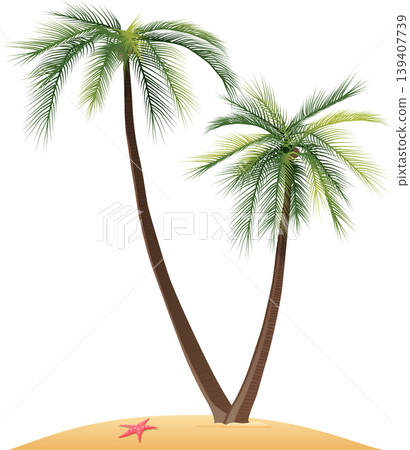 Palm tree on a beach stock illustration 139407739