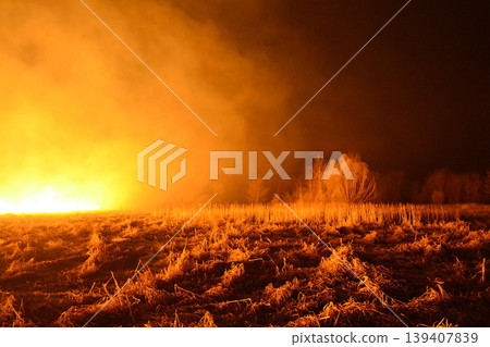 Forest fire spreading through the trees and field at night. Dreadful view of burning old forest by uncontrolled fire Forest fire spreading through the trees and field at night. Dreadful view of burning old forest by uncontrolled fire 139407839