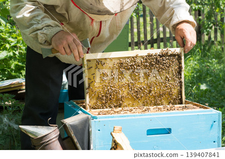The beekeeper checking the beehive. Beekeeper harvesting honey The beekeeper checking the beehive. Beekeeper harvesting honey 139407841