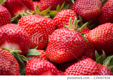 Fresh ripe strawberries in the plastic box Fresh ripe strawberries in the plastic box 139407856