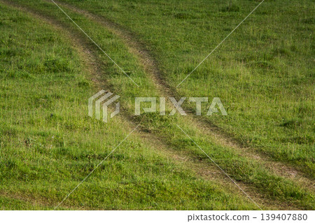 Winding rural path through the field with green grass in the evening Winding rural path through the field with green grass in the evening 139407880