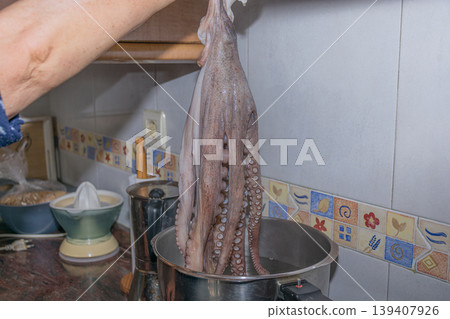 Traditional Galician cooking method of scaring octopus for better presentation and softness Traditional Galician cooking method of scaring octopus for better presentation and softness 139407926