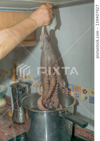 Traditional Galician cooking method of scaring octopus for better presentation and softness Traditional Galician cooking method of scaring octopus for better presentation and softness 139407927