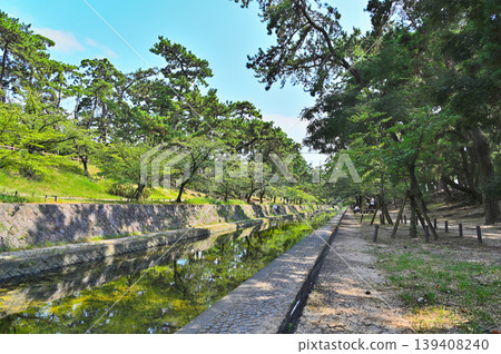 溪流潺潺,公園綠樹環繞。 溪流潺潺,公園綠樹環繞。 139408240