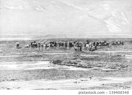 19th-century illustration: Africa, Namibia 19th-century illustration: Africa, Namibia 139408348