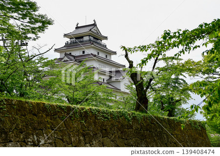 Spring greenery and Tsuruga Castle Spring greenery and Tsuruga Castle 139408474