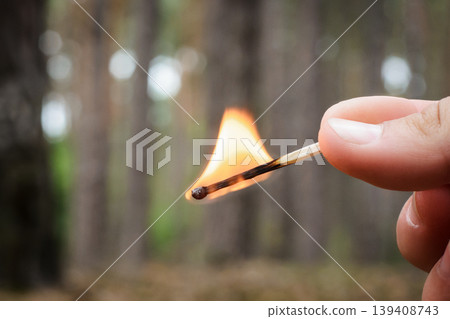 A men holds a burning match in a hand in a coniferous forest. It is dangerous to burn fire in forest, since it may be the cause of the forest fire. 139408743
