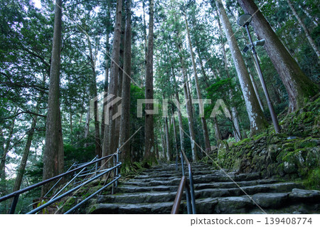 Nachi Falls, the pilgrimage route to Hiryu Shrine at dusk, Wakayama Prefecture Nachi Falls, the pilgrimage route to Hiryu Shrine at dusk, Wakayama Prefecture 139408774