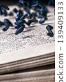 Open Book with Falling Black Letters. Knowledge and Education Concept 139409133