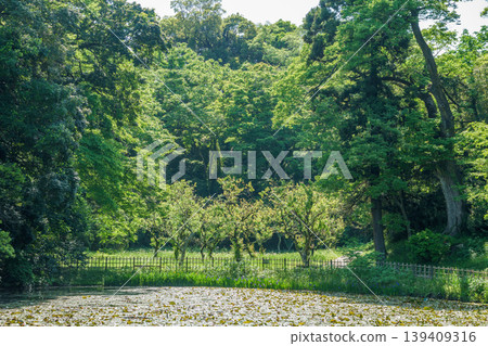 清爽的公園風光 清爽的公園風光 139409316