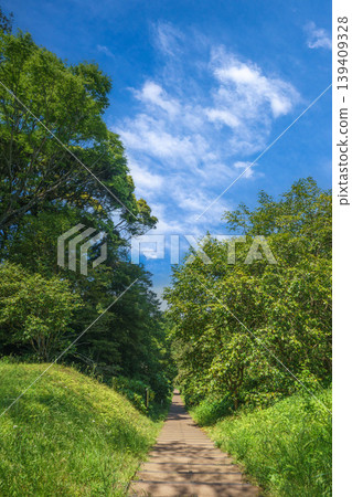 清爽的公園風光 清爽的公園風光 139409328