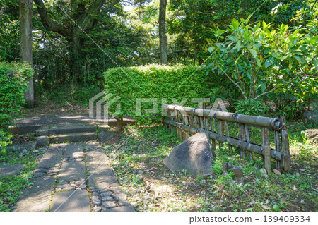 清爽的公園風光 清爽的公園風光 139409334