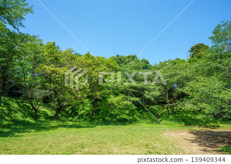 清爽的公園風光 139409344