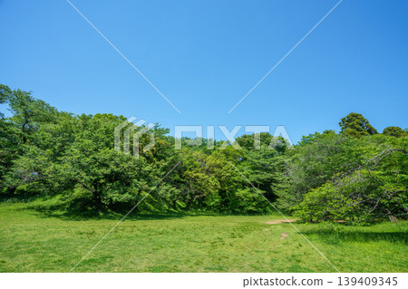 清爽的公園風光 清爽的公園風光 139409345