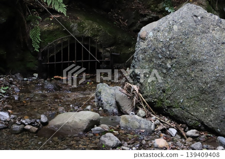 Shasui Falls (Yamashita Town, Ashigarakami District, Kanagawa Prefecture) - Large rock and the flow of the Takizawa River 139409408
