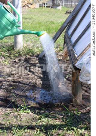 Green watering can pouring water onto soil near a wooden greenhouse, with grass and garden elements visible in the background 139409577