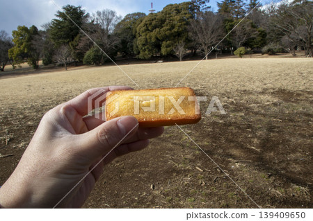 Financiers to eat in the park Financiers to eat in the park 139409650