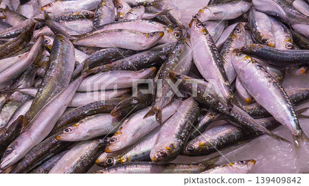 Fresh Sardine, Fish Market, Spain Fresh Sardine, Fish Market, Spain 139409842
