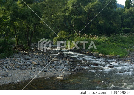 In summer, the rice fields from Amida-ga-taki waterfall to the Itoshiro district in Shirotori-cho, Gujo City, Gifu Prefecture, are ripening. In summer, the rice fields from Amida-ga-taki waterfall to the Itoshiro district in Shirotori-cho, Gujo City, Gifu Prefecture, are ripening. 139409894