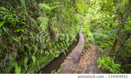 Levada do Caldeirao Verde, Madeira, Portugal Levada do Caldeirao Verde, Madeira, Portugal 139409932