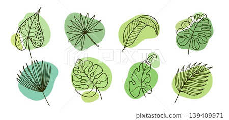Tropical leaves vector set with palm, monstera, philodendron and caladium foliage on green blobs, hand drawn botanical outline collection of exotic jungle leaf elements Tropical leaves vector set with palm, monstera, philodendron and caladium foliage on green blobs, hand drawn botanical outline collection of exotic jungle leaf elements 139409971