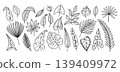 Hand drawn tropical leaves vector set with palm, monstera, philodendron, caladium and eucalyptus foliage, black outline botanical collection of exotic jungle leaf doodles 139409972