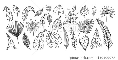 Hand drawn tropical leaves vector set with palm, monstera, philodendron, caladium and eucalyptus foliage, black outline botanical collection of exotic jungle leaf doodles Hand drawn tropical leaves vector set with palm, monstera, philodendron, caladium and eucalyptus foliage, black outline botanical collection of exotic jungle leaf doodles 139409972