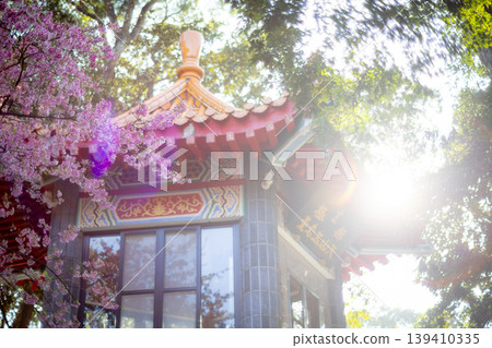 Cherry blossoms  139410335