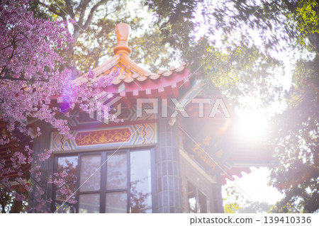 Cherry blossoms  139410336