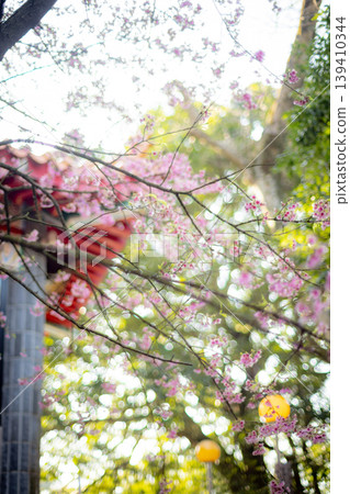 櫻花 139410344