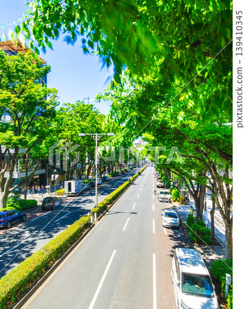 東京新鮮的綠色表參道 東京新鮮的綠色表參道 139410345