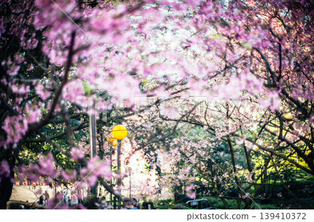 櫻花 櫻花 139410372