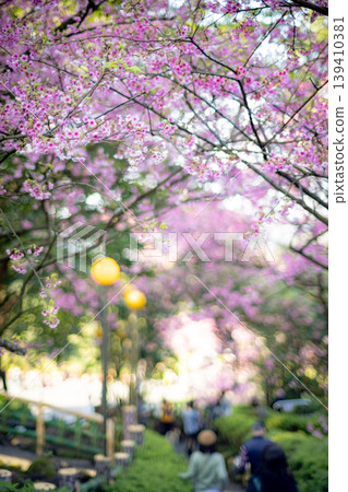櫻花 櫻花 139410381