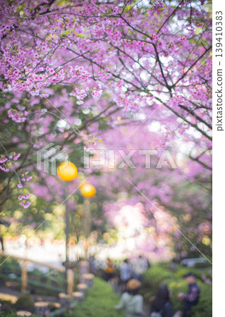 Cherry blossoms Cherry blossoms 139410383