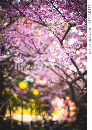 櫻花 139410385