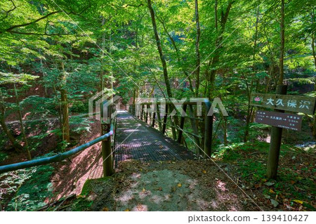 19號橋,橫跨山梨縣山梨市西澤谷的大久保澤溪。 19號橋,橫跨山梨縣山梨市西澤谷的大久保澤溪。 139410427