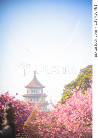 櫻花 139410461